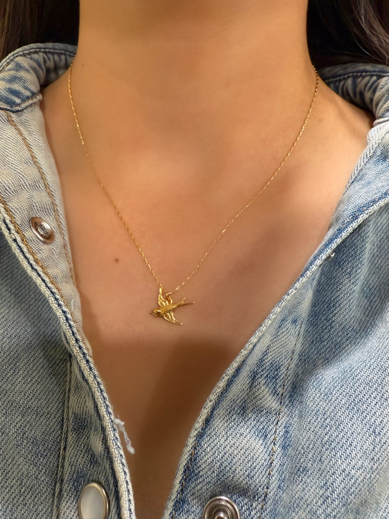 Memoria Divina - Oreja Linda