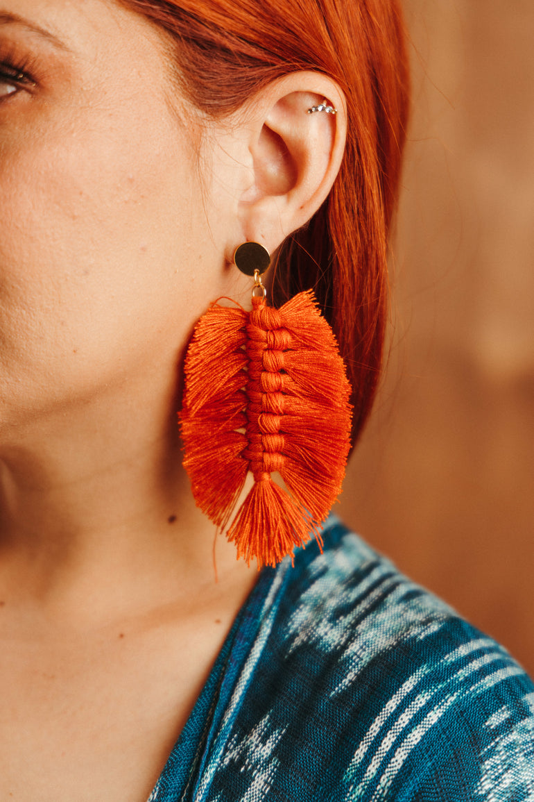 Calabaza - Oreja Linda