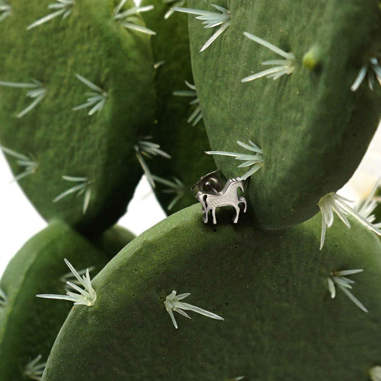 El Siete - Oreja Linda