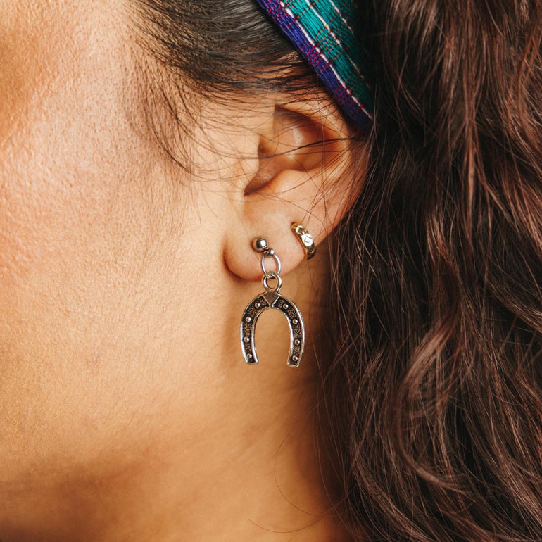 Caballo Prieto Azabache - Oreja Linda